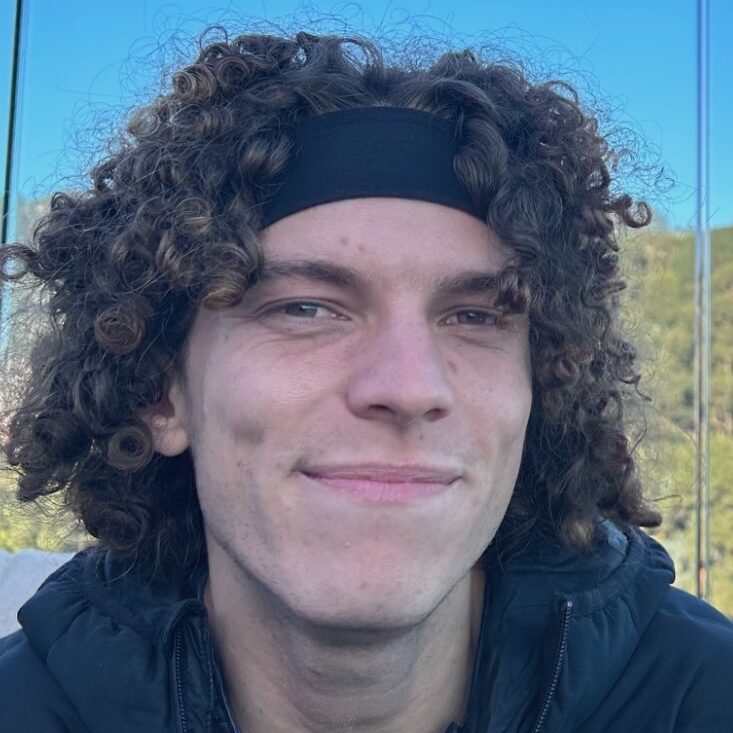 Niklas van der Wagt